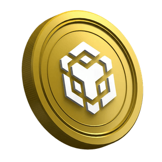 Token de criptomoeda Binance BNB exibido na página de guia destinada a traders iniciantes